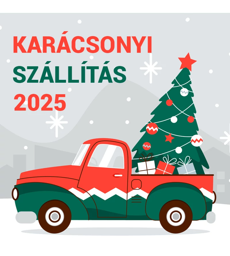 Karácsonyi szállítás 2025