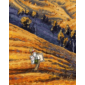 Kép 2/2 - Van Gogh szabadságon mintás szilikon szíj